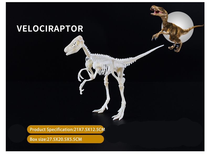 velociraptor fossils and archeology